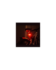 Luz Recargable para Bicicleta 3