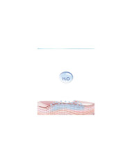 Humidificador Facial