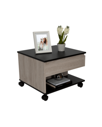 Mesa de Centro Salento, Humo y Wengue, con Un Cajón Interno Multiusos