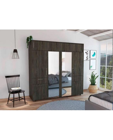 Closet Vanguardia con Espejo, Grafito, con Dos Cajones y Cuatro Tubos Cromado Para Guardar Ropa