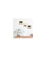 Set de Repisas Cuadradas Eros, Beige, X 3 Unidades