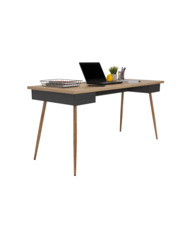 Escritorio Esperanza, Café Claro y Plata Oscuro, con Amplia Superficie de Trabajo