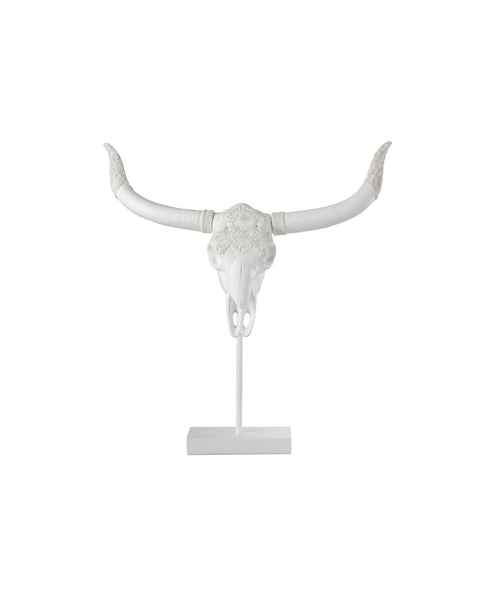 CRANEO CIERVO+PIE RES BLANCO