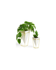 Jarrones Trigg 16x20 cm Oro blanco (2Set)