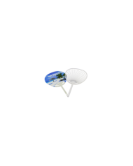 Esqueleto para Abanico