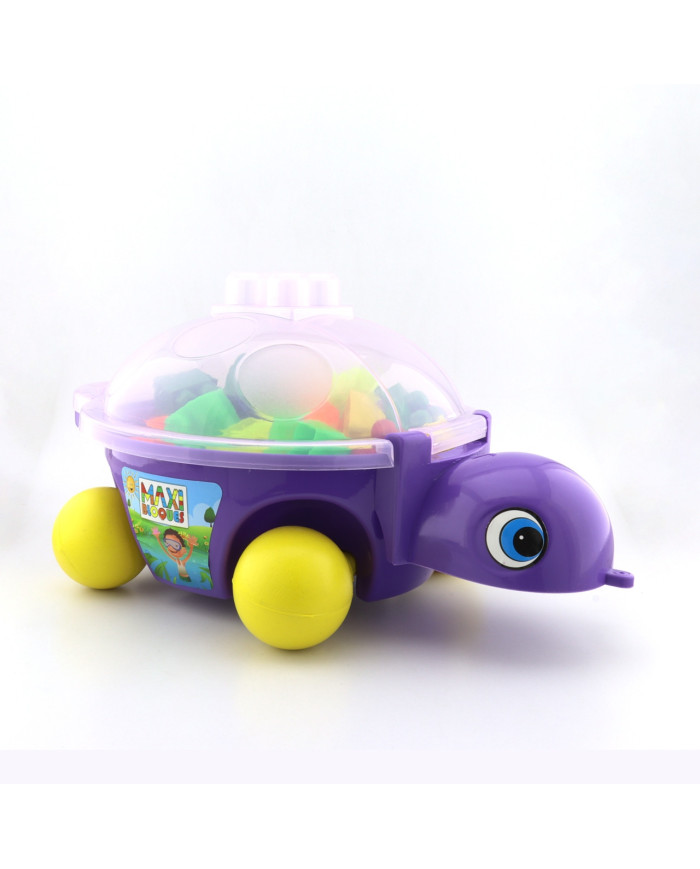 Tortuga Tradicional - JU36