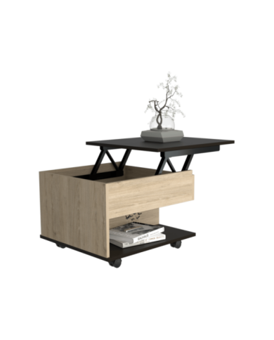 Mesa de Centro Salento, Beige y Wengue, con Un Cajón Interno Multiusos